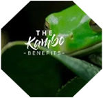 Kambo