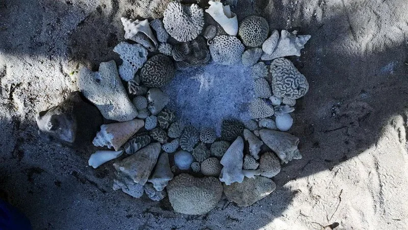 Círculo ceremonial trazado con piedras y caracoles sobre la arena