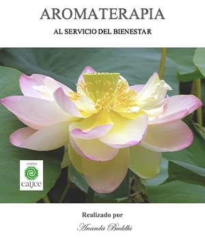Portada del libro Terapia Bioenergética con Aceites Esenciales y Flores de Bach