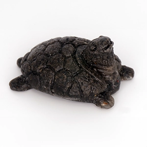 Orgonita tortuga — protección energética y armonización