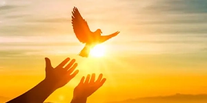 Ceremonia Liberación